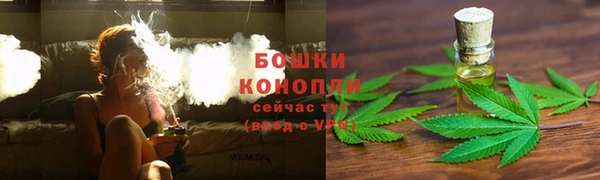 прущие крисы Горнозаводск